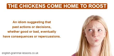 Chickens come home to roost - Idioms by The Free Dictionary