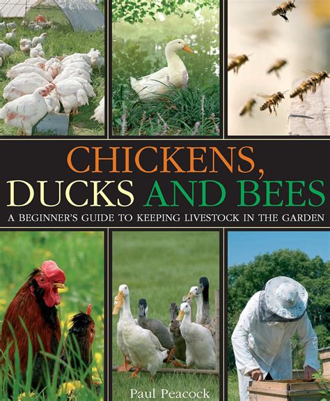 Chickens ducks and bees a beginners guide to keeping livestock in the garden. - Wegweiser für die besucher des k. botanischen gartens in münchen....