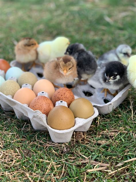 Chicks getting fisted naked.  Discover the growing collection of high qualit...