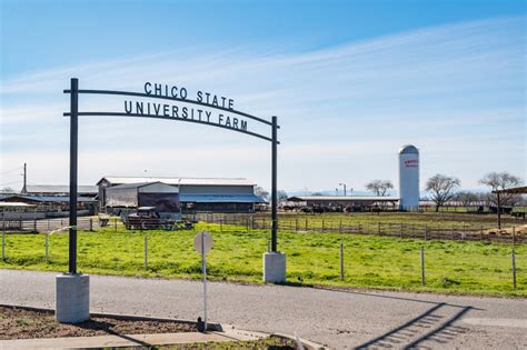 Chico state sales lab.  Located at the Chico State University Farm. , Fri...