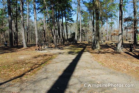 Chicot State Park - Campsite Photos, Reservations