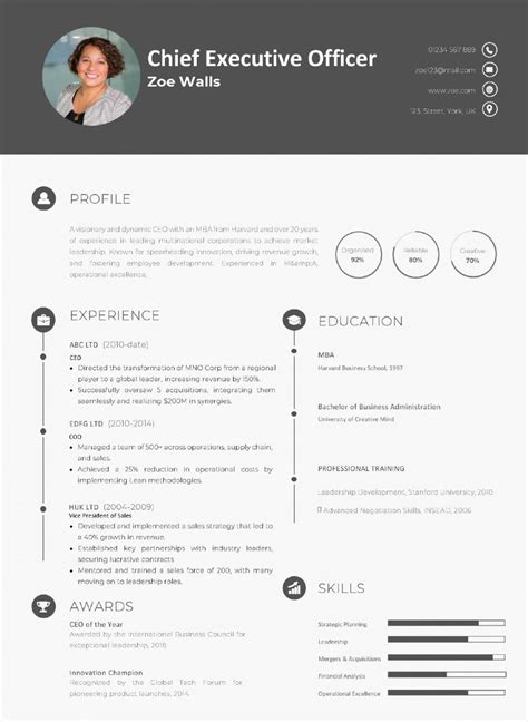 Chief Executive Officer Cv Template