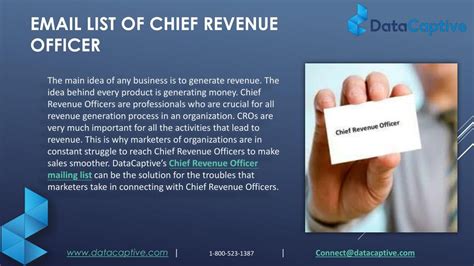 Chief Revenue Officers Email List ListsXpanders