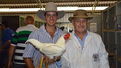 Chief Steward: CHAMPION AWARDS Poultry Assisting …