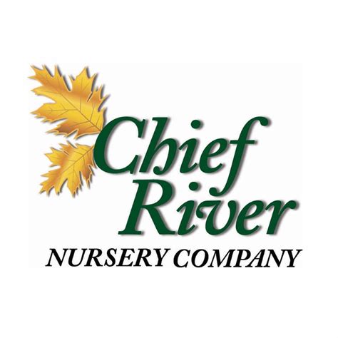 Chief river nursery wisconsin. Get reviews, hours, directions, coupons and more for Chief River Nursery. Search for other Nurseries-Plants & Trees on The Real Yellow Pages®. 