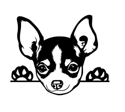 Chihuahua Car or Truck Window Decal Sticker - Rad Dezigns