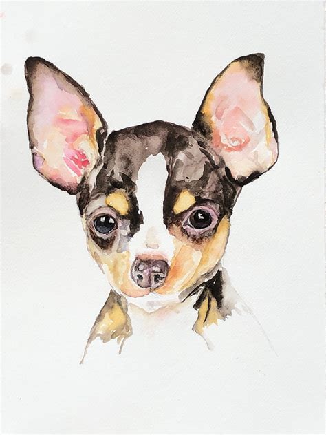 Chihuahua Drawings