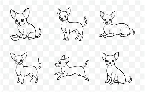 Chihuahua Outline Drawing
