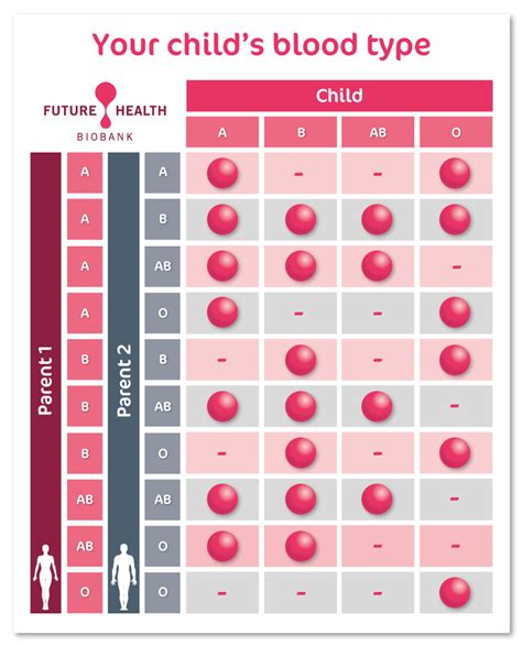 Child Blood Type Chart