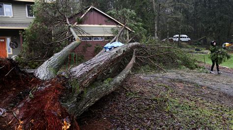 Child killed after falling tree crashes into Jennings home