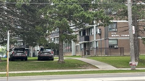 Child reportedly bitten by loose dogs in Scarborough; police investigating