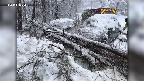 Child struck by falling tree in Derry, NH