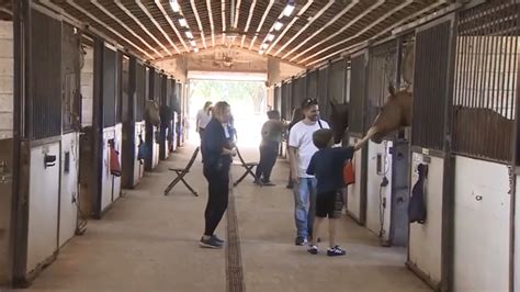 Children share stories, smiles with horses at Tradewinds Park and Stables