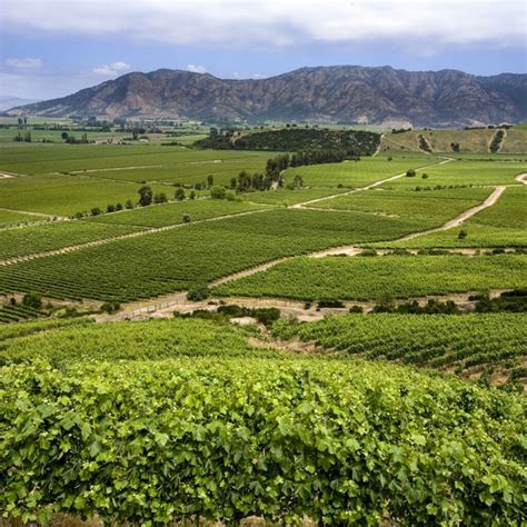 Chile wine country hotels - Wine Paths