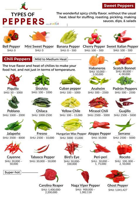 Answers for chilli variety that means 'wide' in spanish crossword clue, 5 letters. Search for crossword clues found in the Daily Celebrity, NY Times, Daily Mirror, Telegraph and major publications. Find clues for chilli variety that means 'wide' in spanish or most any crossword answer or clues for crossword answers.. 