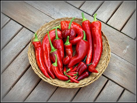 Chillis. Next, warm the soil with cloches for a couple of weeks before planting. Space chilli plants 38–45cm (15–18in) apart, depending on the variety. Dwarf varieties can be spaced 30cm (1ft) apart. Then cover young plants with cloches to provide wind … 