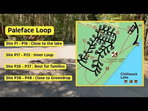 Chilliwack Lake Provincial Park Campground - Paleface Loop at ...