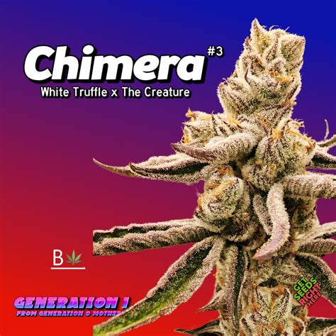 Chimera clone for sale.  Chimera #2 Fresh Cuts clone for sale online The Ch...