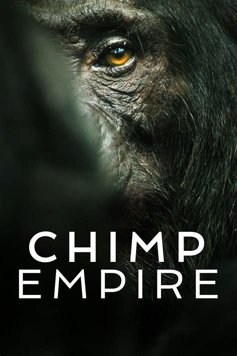 Chimp empire. This 15 question viewing guide pairs with the 2023 Netflix series Chimp Empire. The answer key is also included. The google copy link to this resource is on ... 