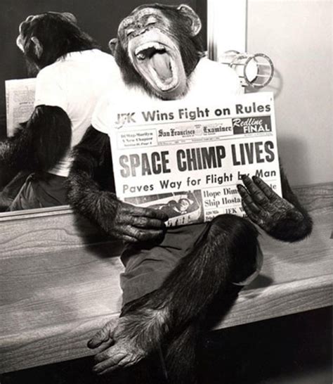 Chimpanzee who flew into space in 1961 - Dan Word