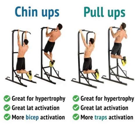 Chin up versus pull up. Sep 22, 2020 · Grip the bar with a slightly wider than shoulder-width, overhand grip (pull-ups), or a shoulder-width, underhand grip (chin-ups). Pull your shoulders down and back and hang from the bar with your arms straight. Lift your chest up toward the bar. Brace your abs, bend your legs, and cross your feet behind you. 