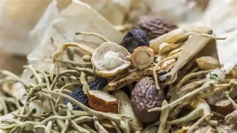 China's Health Food & Probiotics Market: Trends, Opportunities & Growth (2026)