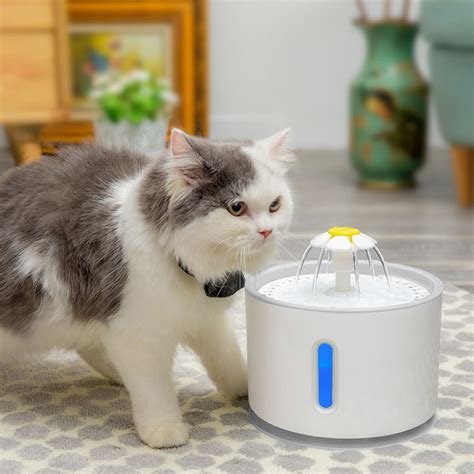 China Automatic Cat Water Fountain Dog Water Dispenser with …