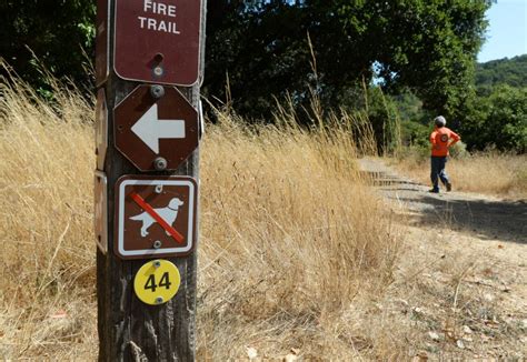 China Camp State Park’s new trail markers aid emergency response for injured hikers