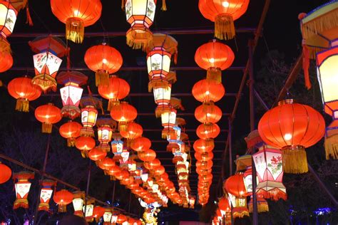 China lights. Things To Know About China lights. 