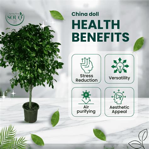 Chinadoll Onlyfans Leak +18 🍆 196 Vids