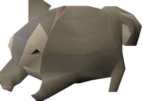 Chinchompa pet osrs. A hedgehog by any other name. Herbiboars inhabit the Mushroom Forest on Fossil island where they can be hunted for herbs that grow on their back. Doing so requires level 80 Hunter to be tracked in addition to level 31 Herblore to harvest their herbs. Since only the beginning step of tracking a herbiboar requires 80 Hunter, hunter potions and ... 