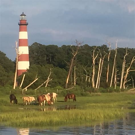 Chincoteague Island Featured Events - AmericanTowns.com