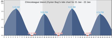Next low tide in Chincoteague Island, Oyster Bay, Chincoteague Bay, Virginia is at 12:30 PM, which is in 8 hr 13 min 06 s from now. The local time in Chincoteague Island, Oyster Bay, Chincoteague Bay, Virginia is 4:16:53 AM. See the detailed Chincoteague Island, Oyster Bay, Chincoteague Bay, Virginia tide chart below.. 