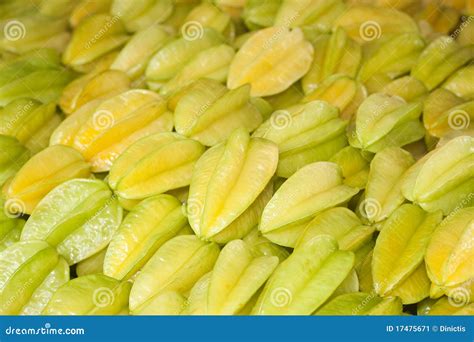 Chinesa Tropical Leaks [HD] 🔥 109 Videos