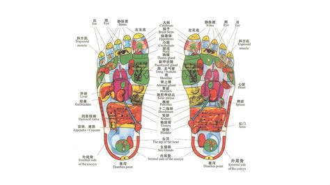 Chinese Massage Foot Chart