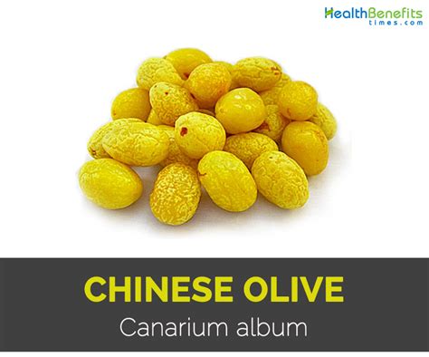 Chinese Olives Information and Facts - Specialty Produce