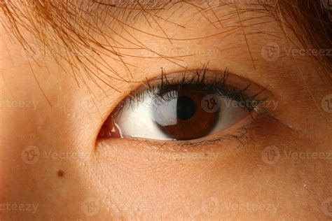 Chinese eyeball. Things To Know About Chinese eyeball. 