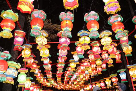 Chinese lantern festival raleigh nc. Things To Know About Chinese lantern festival raleigh nc. 