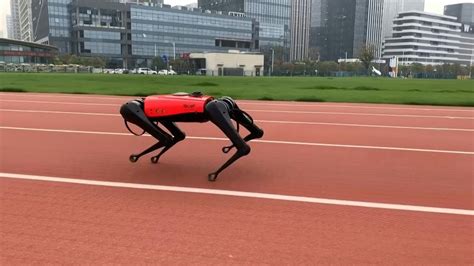 Chinese tech company develops robot dogs - YouTube