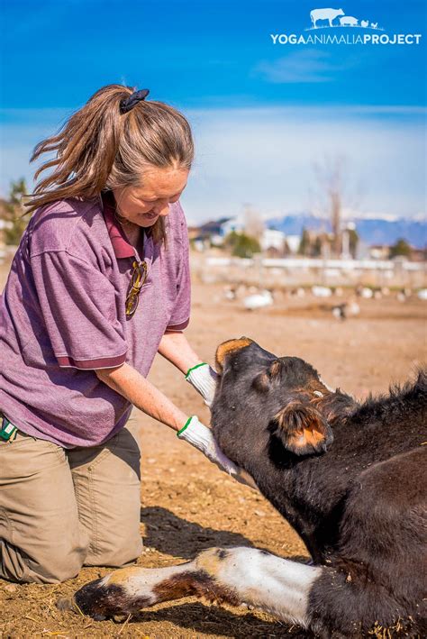 Ching Farm Rescue & Sanctuary — Yoga Animalia Project