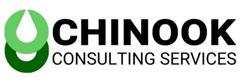 Chinook Consulting Services - Overview, News