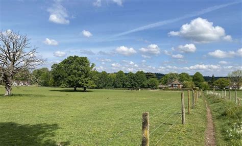 Chinthurst Hill and The Grantley Arms Walk