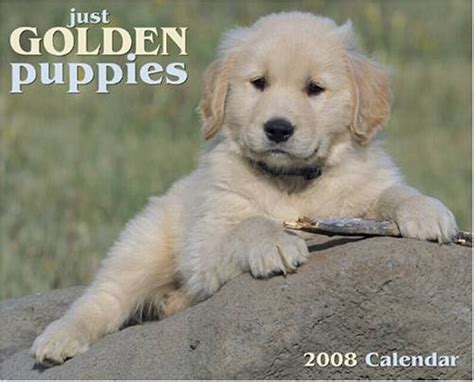 Chiots/puppies 2008   2009 pocket planner calendar. - En toch haten wij niet ....