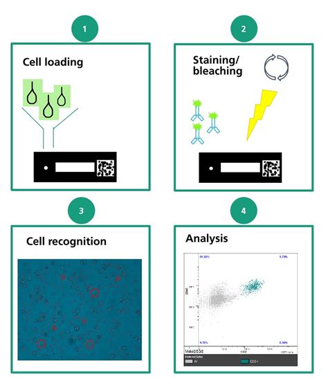 Chip cytometry - Fraunhofer ITEM