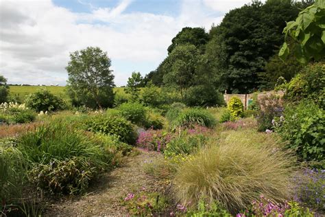 Chipchase Castle Nursery Perennials Garden Centre Guide