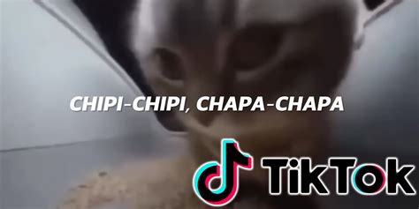 chipi chipi chapa chapa but goes harder the difficult