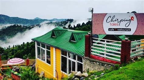 Chirping Tales Cafe Mukteshwar - Facebook