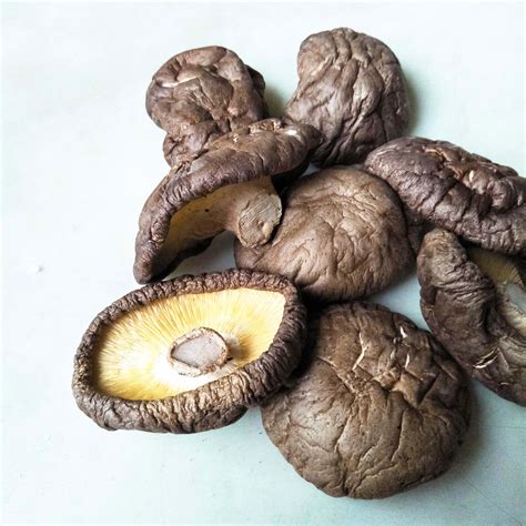 Chitaké. Shiitake mushroom (Lentinus edodes) is a type of edible fungus.It's native to Japan and China, and contains a chemical called lentinan. Shiitake mushrooms are the second most commonly eaten ... 