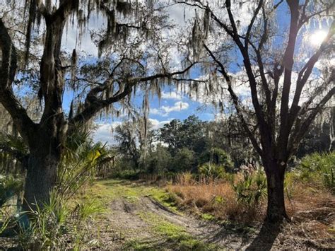 Chito Branch Reserve - Lithia, FL - Foursquare