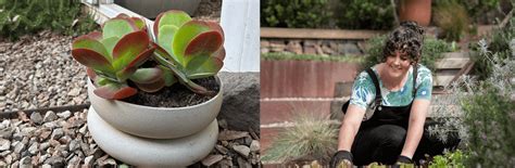 Chloe Thomson Leaks +18 15 Pics